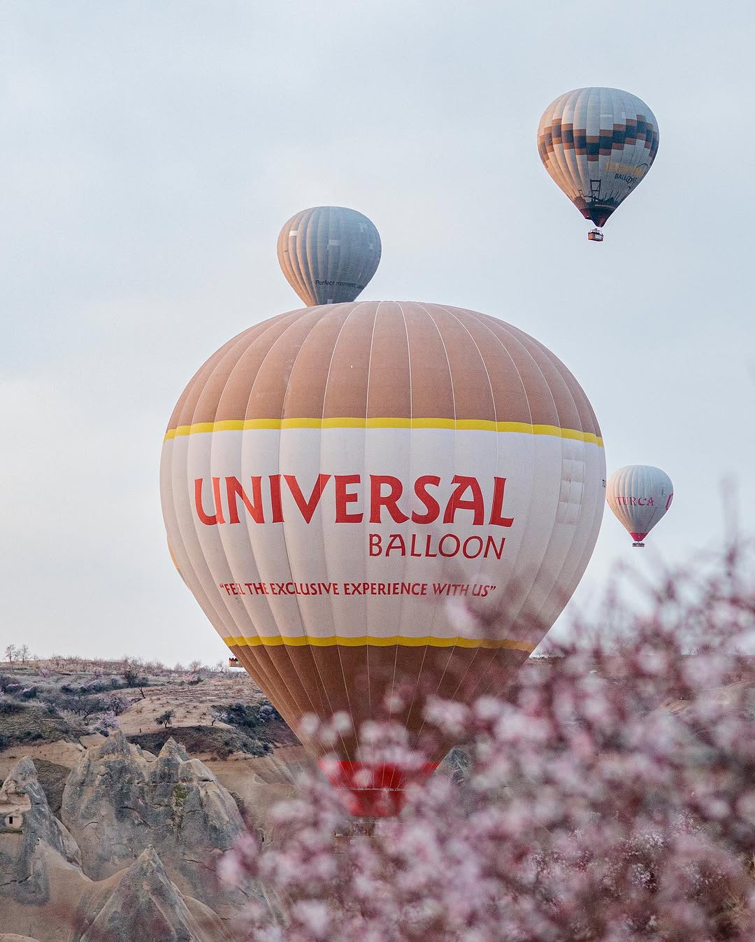 Discover to Cappadocia with us.

🎈🎈😍😍

#cappadocia #kapadokya #hotairballons #traveling #flywithus #beautifuldestinations