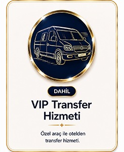vip-transfer